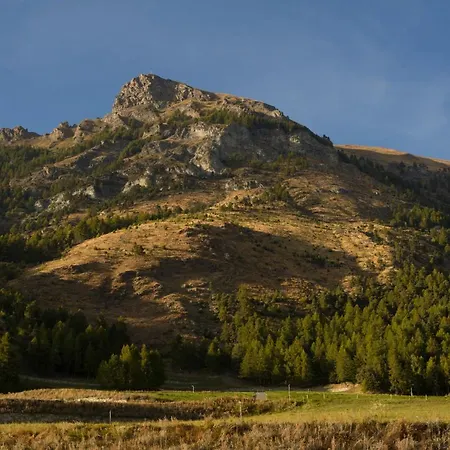 Confrérie Du Moyen âge